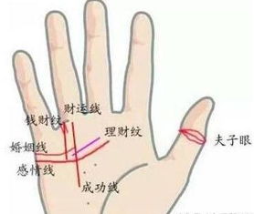 五、  坎官病理征象与健康预警机制的综合考量