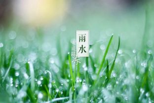 雨水节气出生的宝宝如何取一个既应时应景又吉祥的名字？