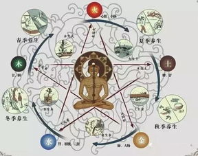 事业运势：内生秩序与外部助力