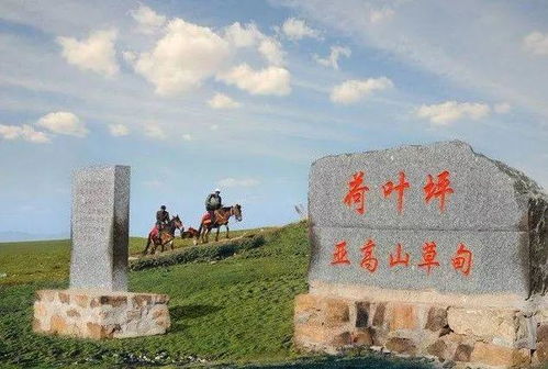 独特游玩体验：草甸上的奇幻之旅