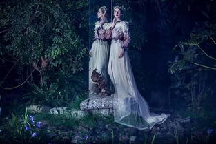 月光下的低语：灵魂的回声