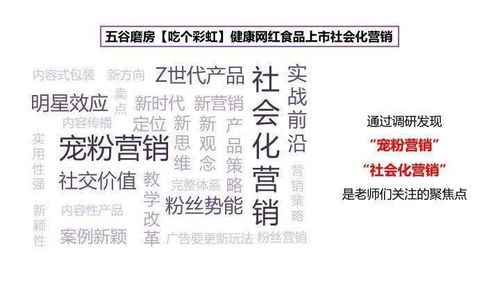 探索完美名字的奥秘