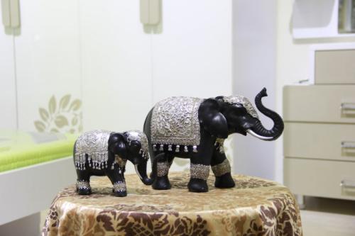 四、 大象朝向与方向选择的系统性分析