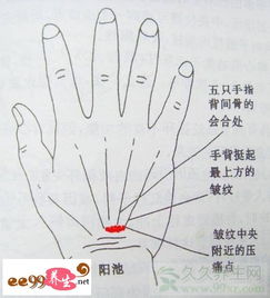 三、  经络感传现象与古代经络学说的认知起源
