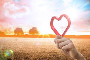 一、 策略重构：从死缠烂打转向“朋友”身份的过渡