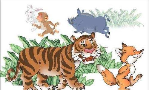 Tiger 的性格特征
