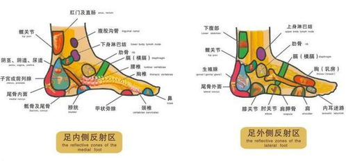 眼睛：视觉感知系统与过度使用危害