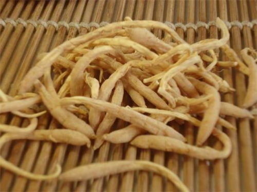 1. 医药保健：太子参的药效与应用