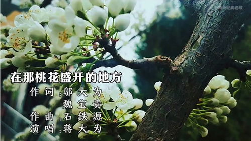 1. 梦见走过一片盛开的桃花林