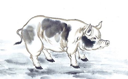 1970年狗命人2026年大吉大利福运全解析