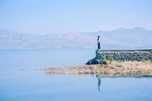威海：天鹅湖美哭，但风大得想哭！