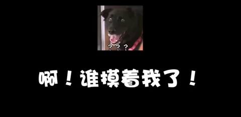 逃离房间与现实扭曲：恐慌对感知空间范围的干扰