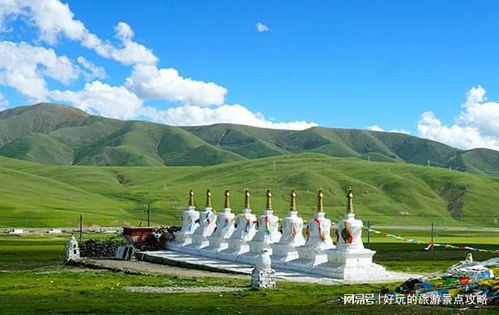 牙林铁路奇葩之旅——爱恨交织的森林列车