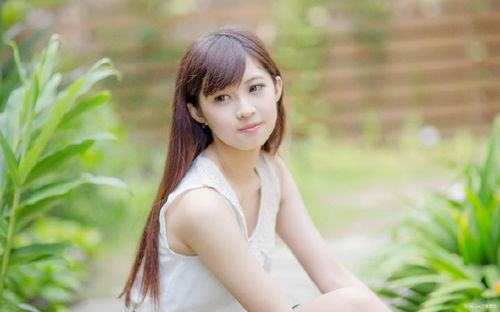 2026年属狗下半年感情运势如何，有哪些催桃花的方法？