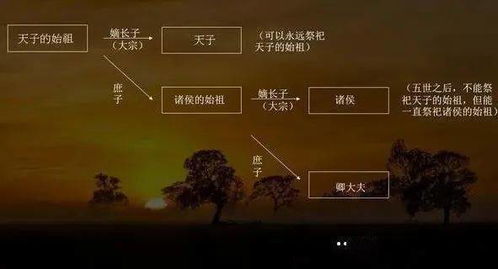 名字中的“金”与“木”：性格的暗示