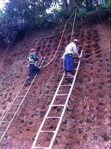 论风电场环境构建中的风水意蕴与工程实践的辩证统一