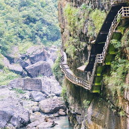 怎么去？交通让人头秃的问题