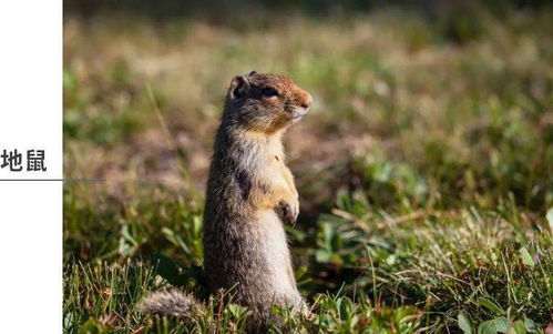 ：现象背后的双重审视