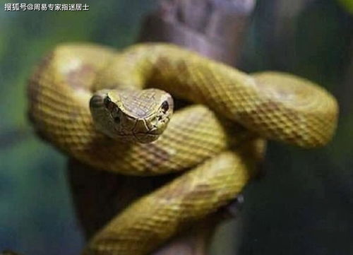 三、 风水学的环境能量分析