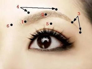 （二）富贵与财运的暗示