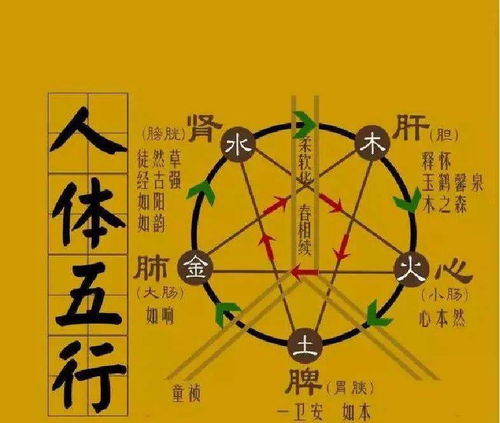 殊取名是凶还是吉？殊的五行属性如何改？