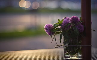 AB型射手座女生性格特点有哪些？