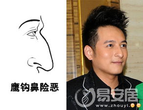 鹰钩鼻面相的特征及其影响