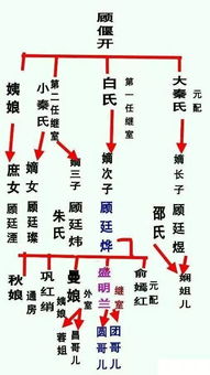 3. 对经络网络复杂性的再认识