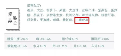 这事儿说来话长：当奉化水蜜桃遇见了洋老外