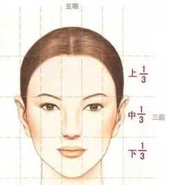 1. 一字眉：坦诚直接的沟通风格