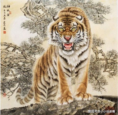 二、 火土旺相命格的理论阐释与心理特质