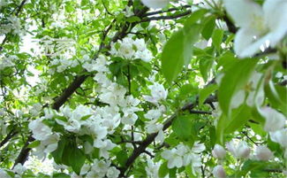 交通指南——随便写写不负责 🚗🚌🚲