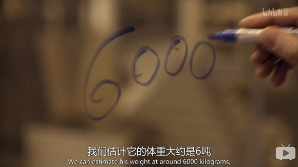 命理优势之维度