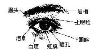 四、 眼白（巩膜）之痣：健康警示与运势波动