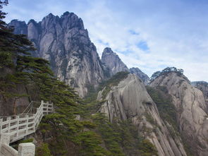 二、上车即是冒险——免费接送背后的暗流涌动