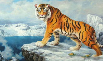 1998年属虎的人今年运势如何？适合找对象吗？