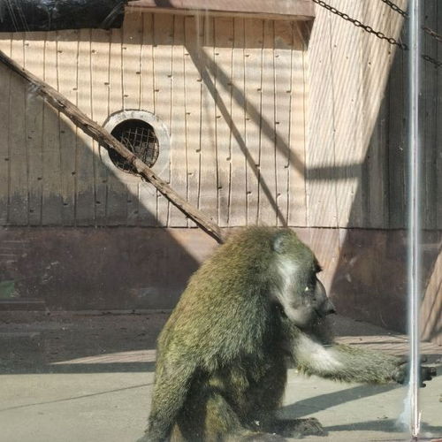 门票：花钱买罪受（不保证找零）