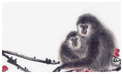 飞刍转饷是什么生肖？长尾猴？