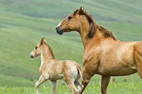 旺夫？不如旺自己！