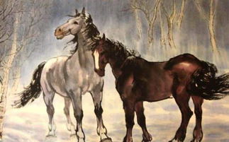 马的天敌是哪个生肖？梅花探码马向西打对应的是什么生肖？