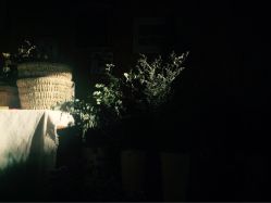 ：梦境空间的叙事结构与文化意蕴
