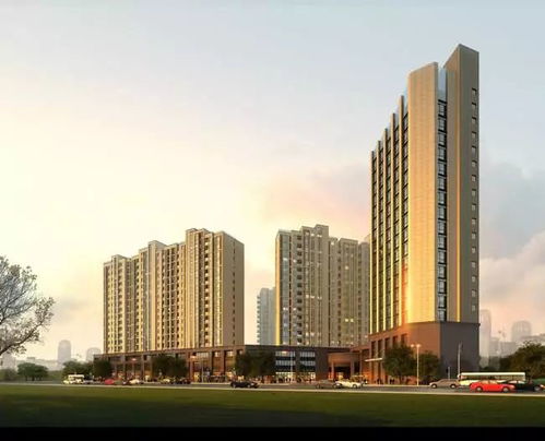 四、 光照环境与自然嫩量的引入