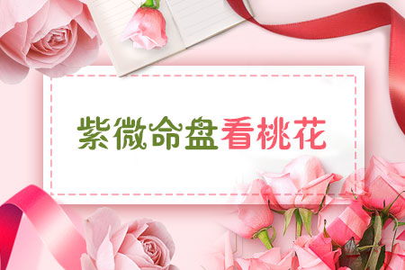 二十六种细分梨园——不同类型塔梨华背后的意义阐释