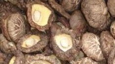 茨菇 - 水里长的宝贝