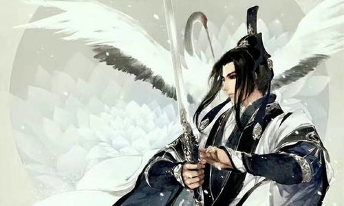 一、  纯阳命格的理论界定与宇宙全息观