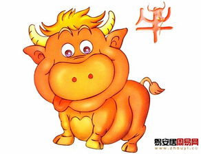 性格特征及潜在风险因素解析