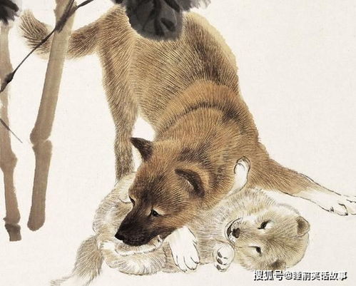 将流连忘返打一生肖，是哪个生肖呢？