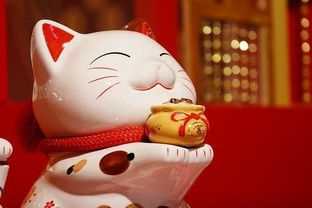 3. 招财猫方向校正