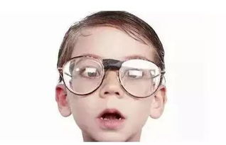 四、 家具摆放与“气流”动力学的影响机制