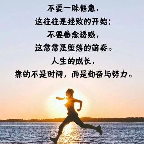 一、  生肖星座与国学意境：昵称选择的文化底蕴